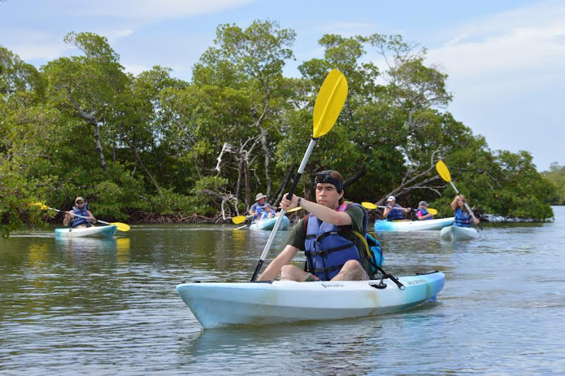 Kayak Marco Island - Rentals & Tours