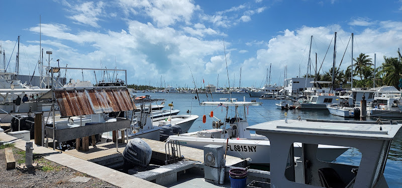 Safe Harbour Marina, LLC