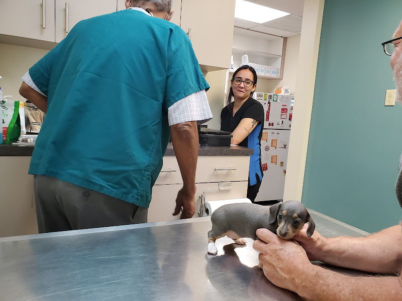 Animal Hospital of Tampa Bay