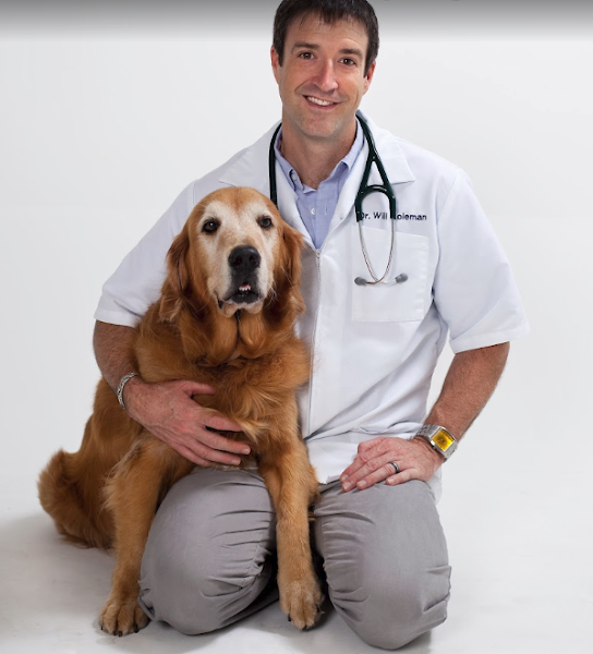 Veterinary Emergency + Referral Center of Hawaii - Emergency veterinarian service in Honolulu