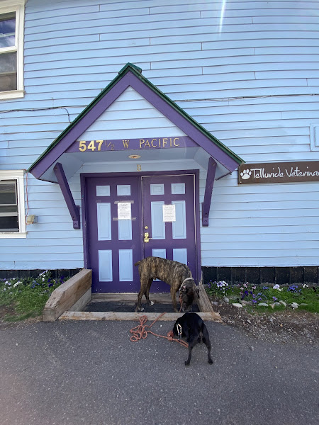 Telluride Veterinary Clinic - Veterinarian in Telluride