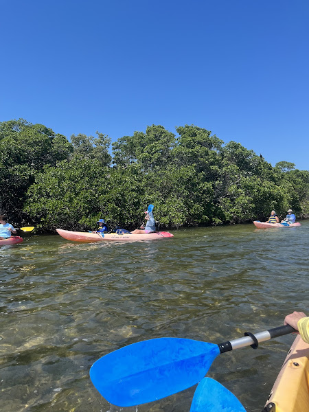 Honest Eco Tours