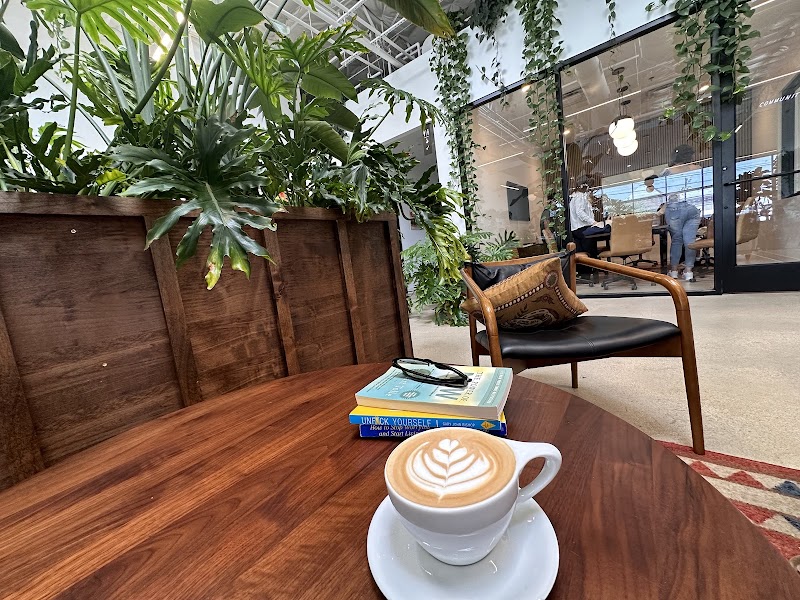 Wayward Coffee Co photo
