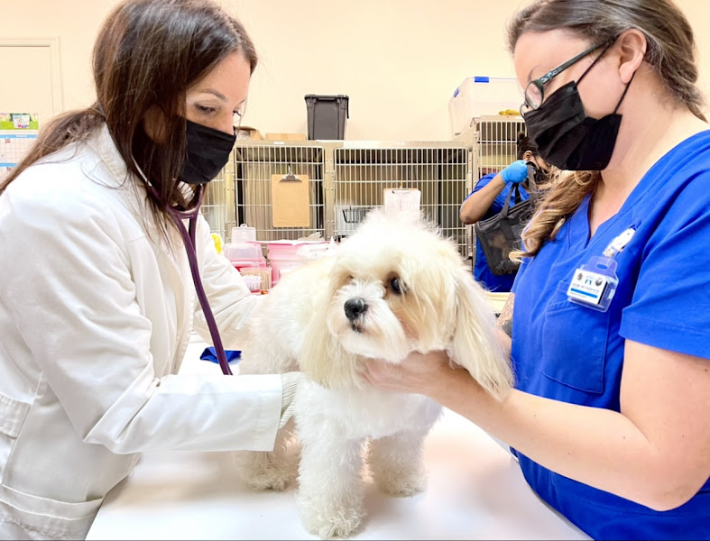 Victoria Park Animal Hospital
