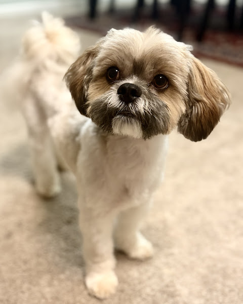 Veterinary Clinic of Myrtle Beach