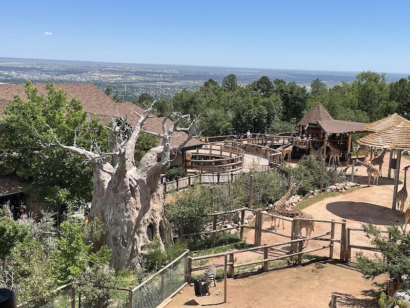 Cheyenne Mountain Zoo photo