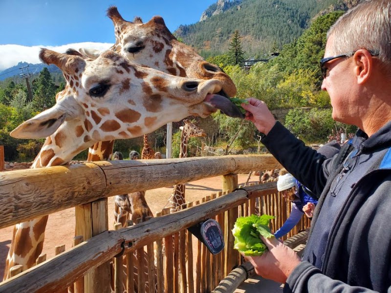 Cheyenne Mountain Zoo photo