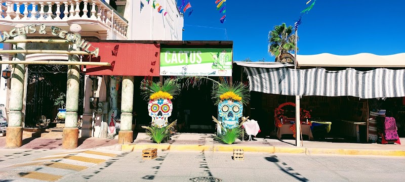 Rodeo Drive Cholla Mall Curios - Craft store in Obrera