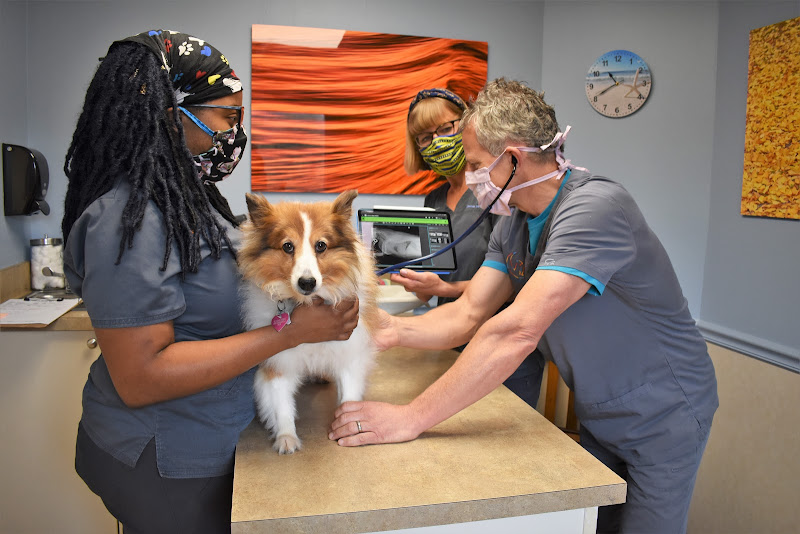 Crescent City Veterinary Hospital