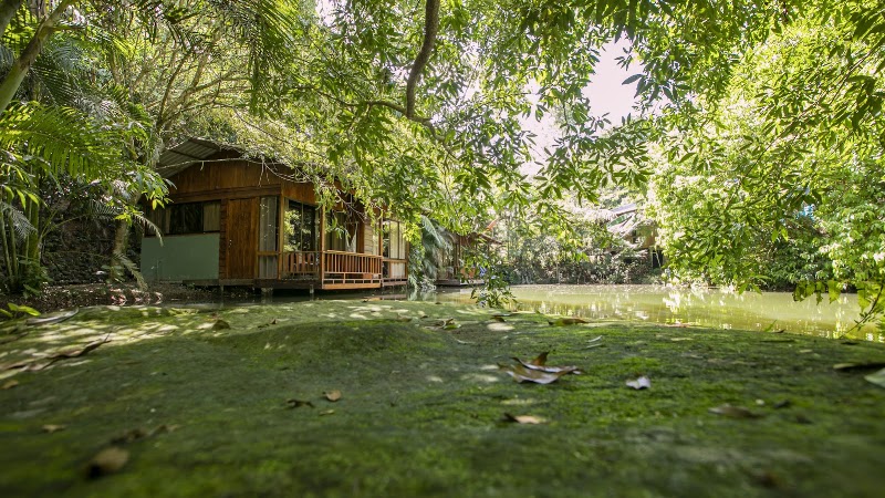 Arenal Tree Cabin - Hotel in Alajuela Province