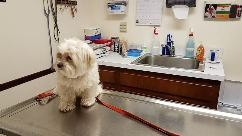 River City Veterinary Hospital