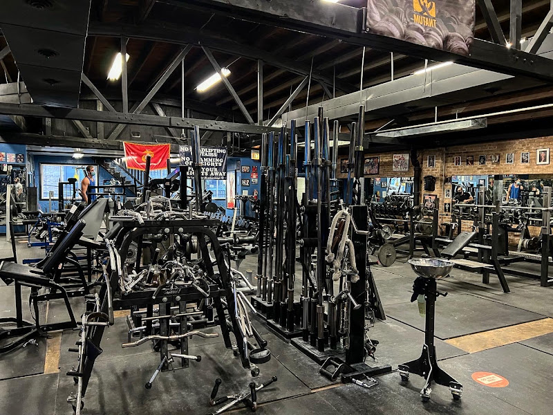 Quads Gym