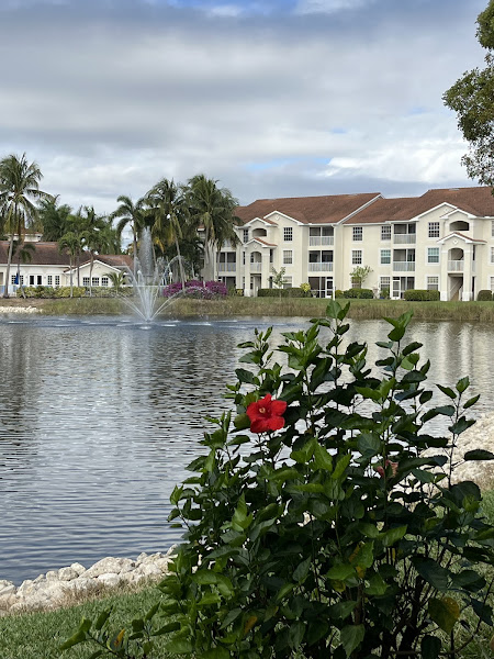 Sandcastle Community Management