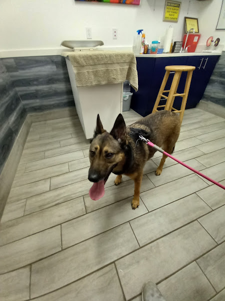 Fort Lauderdale Veterinary Center