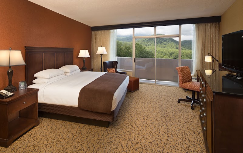 The Park Vista - a DoubleTree by Hilton Hotel - Gatlinburg photo