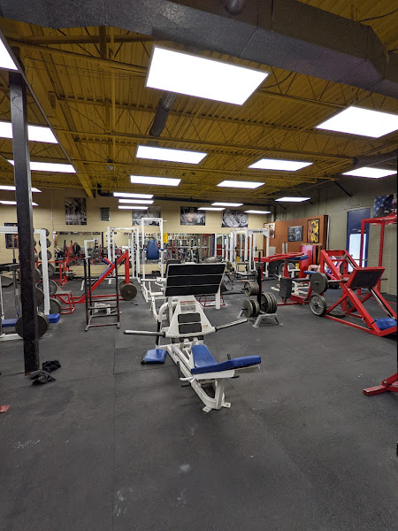Flex Gym & Fitness