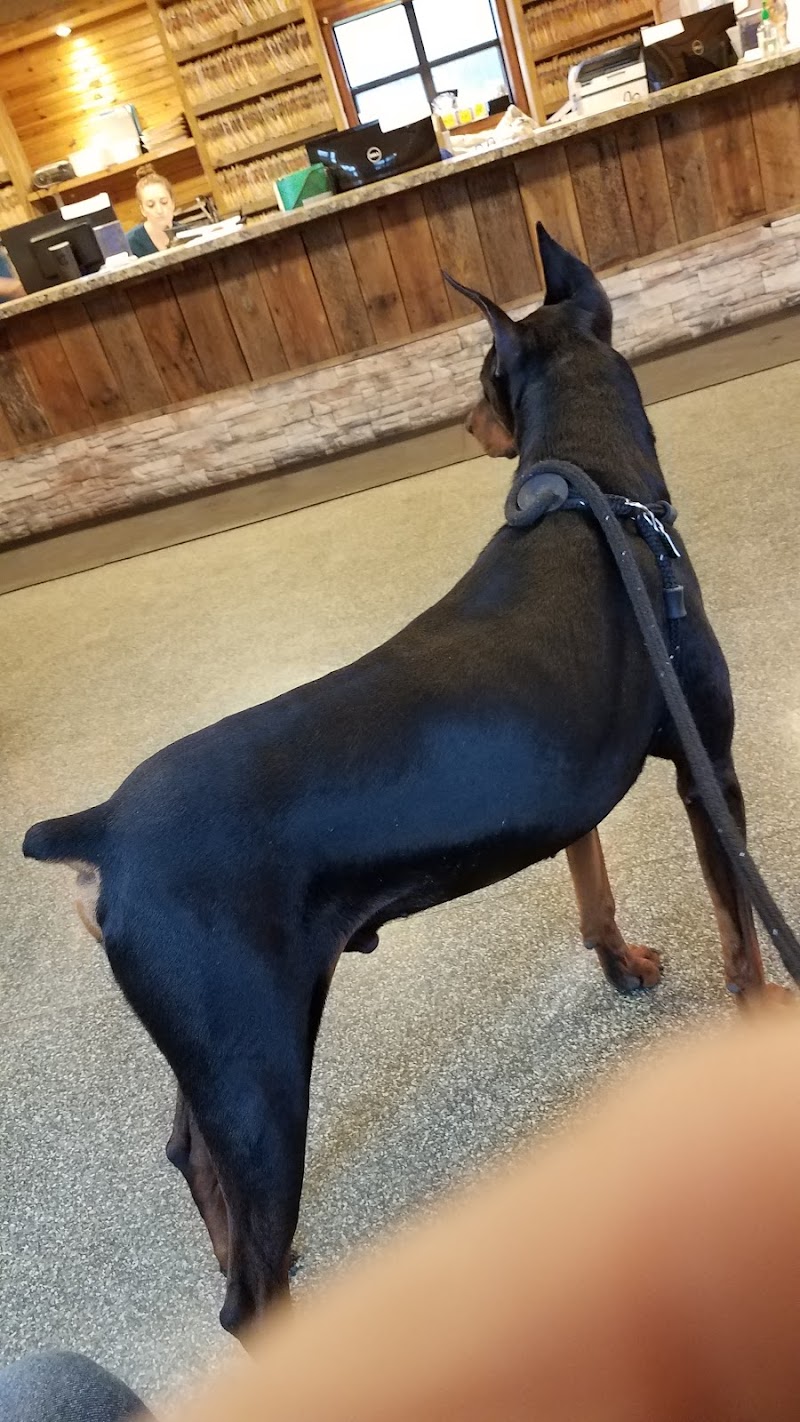 Lake Pet Hospital