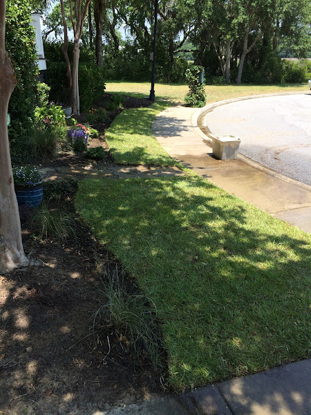 Thorn Lawn & Sod Contractors, LLC. - Landscaper in North Charleston