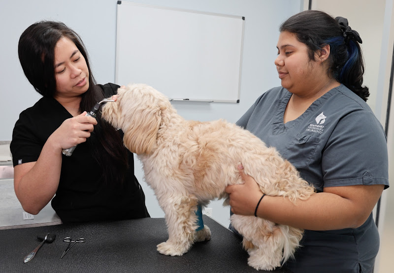 Southeast Veterinary Neurology