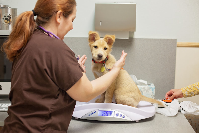 1st Pet Veterinary Centers - North Valley