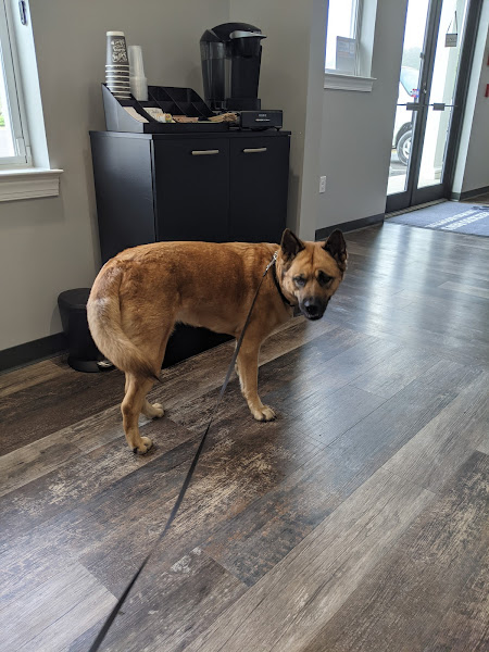 Precious Paws Animal Hospital