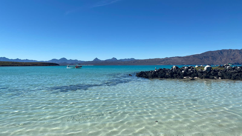 Ronival Vacations and Property Management