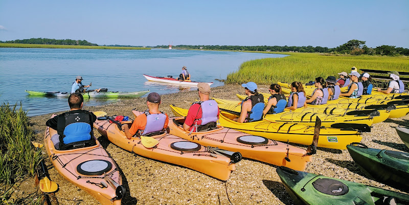 Charleston Outdoor Adventures - Boat tour agency in Charleston