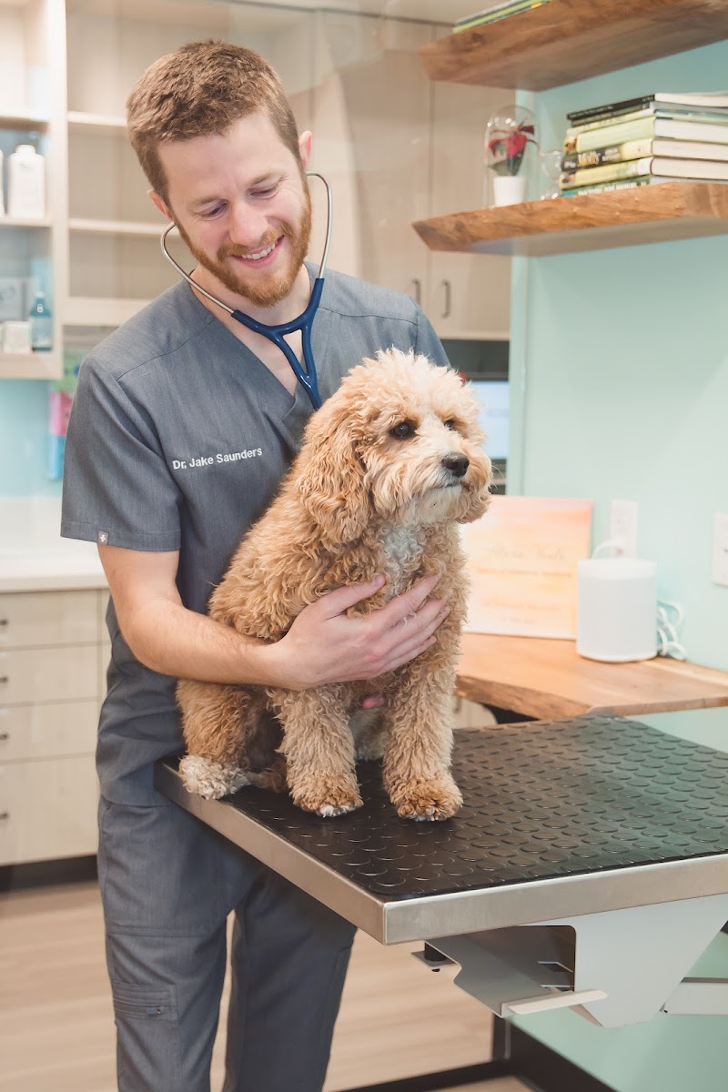 Sploot Veterinary Care - RiNo photo