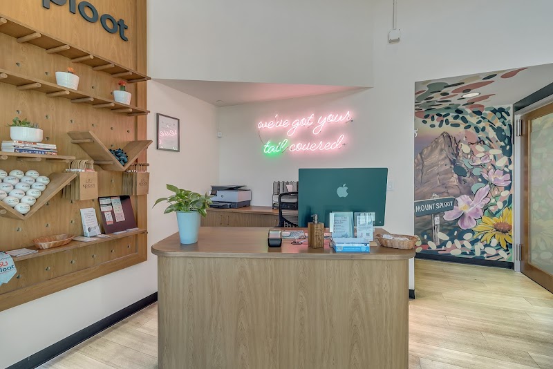 Sploot Veterinary Care - RiNo photo