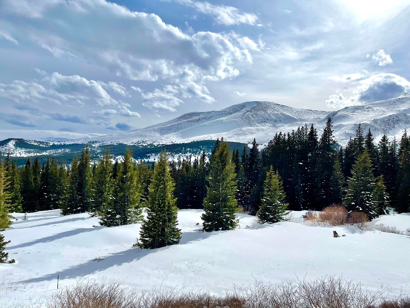 Backcountry Cleaning - House cleaning service in Breckenridge