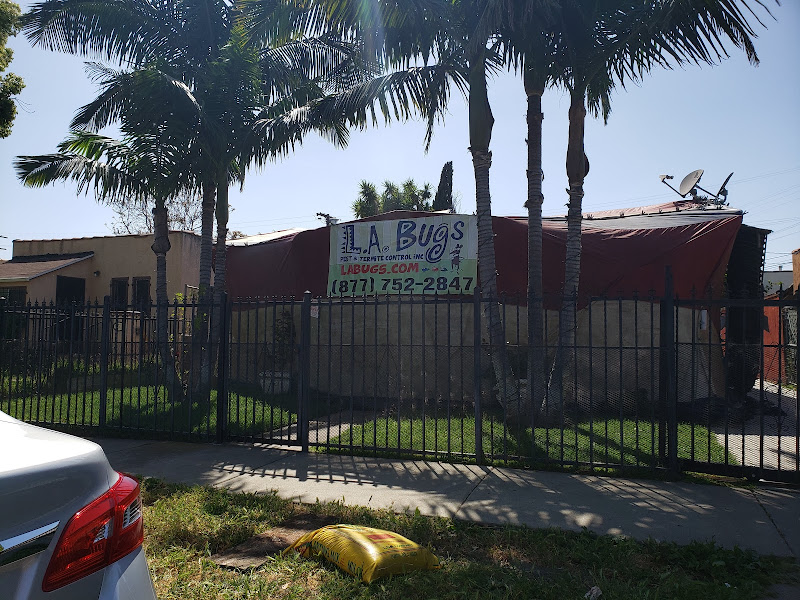 L.A. Bugs Pest & Termite Control