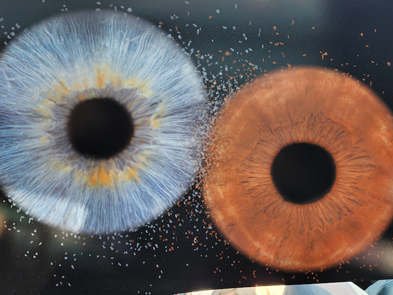 Eye Wonder - Photography studio in Destin