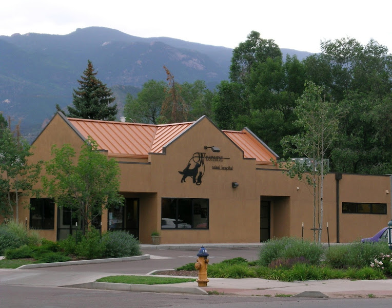 Westside Animal Hospital - Veterinarian in Colorado Springs