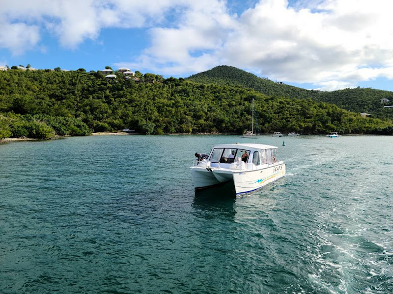 Bad Kitty and Calypso Charters