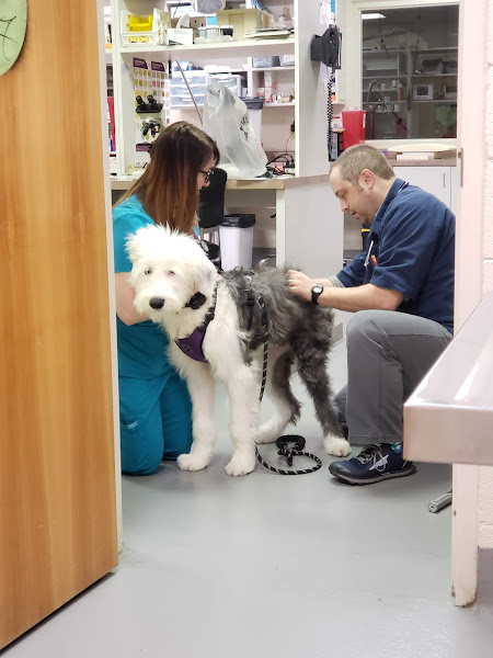 Mountain Home Veterinary Clinic