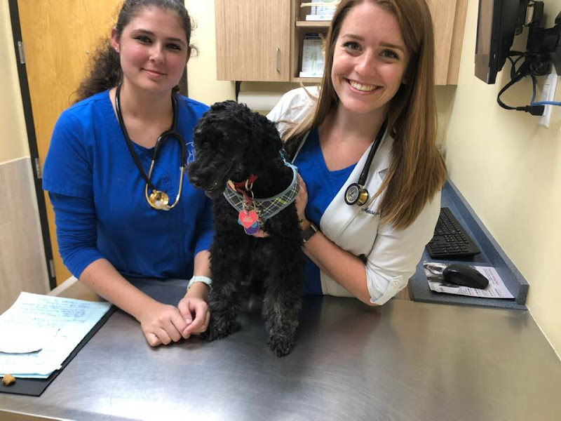 Seiler Animal Hospital