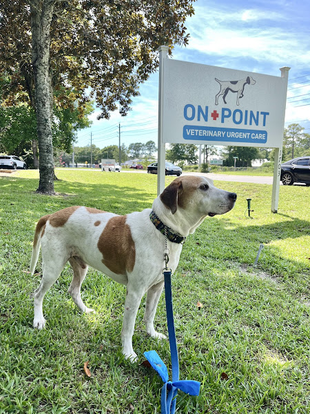 OnPoint Veterinary Urgent Care - Fort Walton Beach