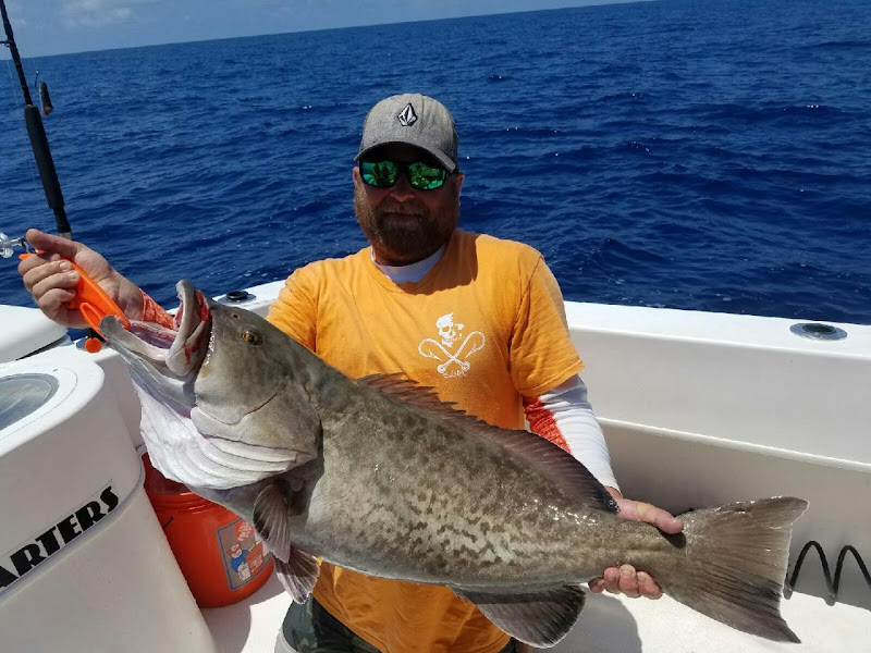 Bait House Charters - Fishing charter in Clearwater