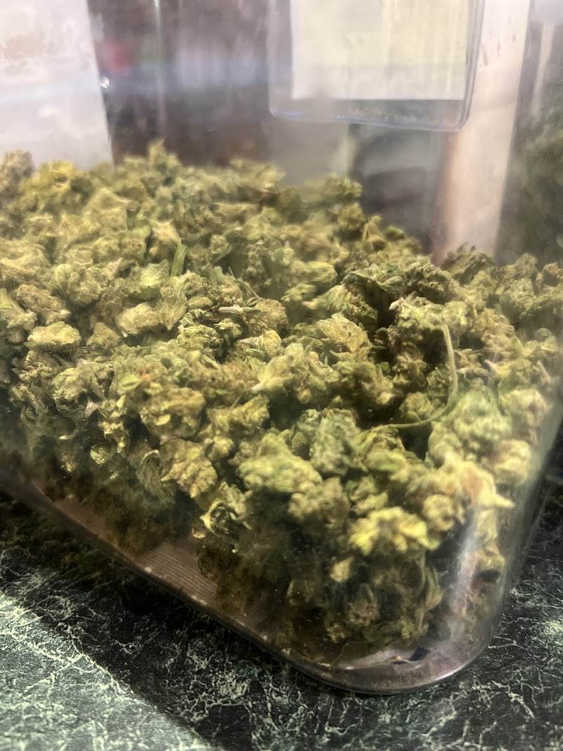 Nova Cannabis Company photo