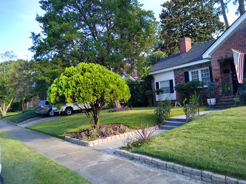 Morales lawn care tree work LLC