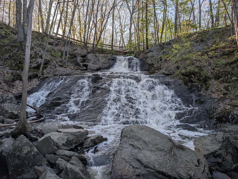 Fore River Sanctuary - Tourist attraction in Portland