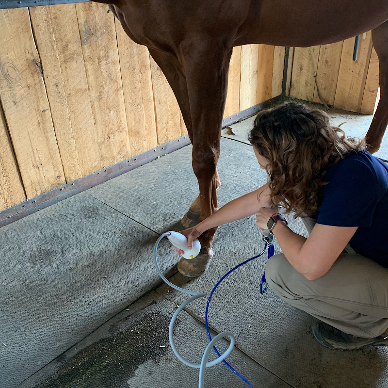Centennial Equine Sports Medicine, Professional LLC photo