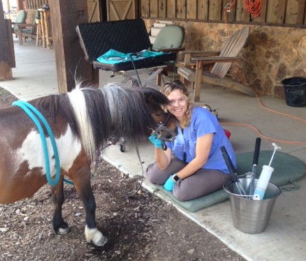 Centennial Equine Sports Medicine, Professional LLC photo