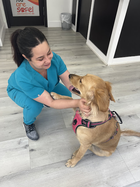 Animal Clinic of Miami Dade