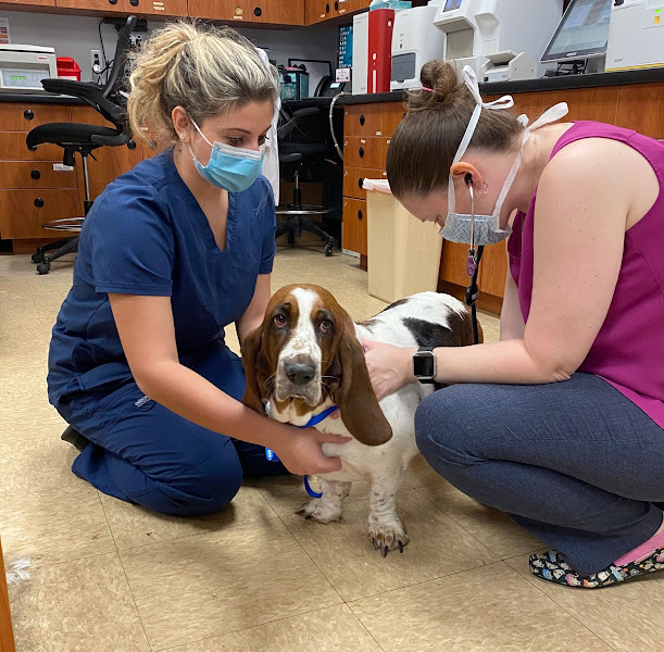 Forever Vets Animal Hospital at Tinseltown