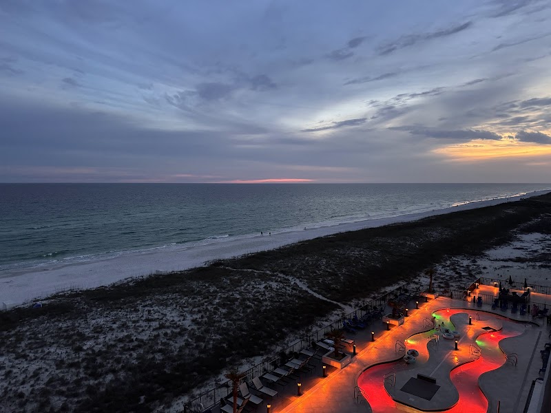 Everything Palms Partners Navarre photo