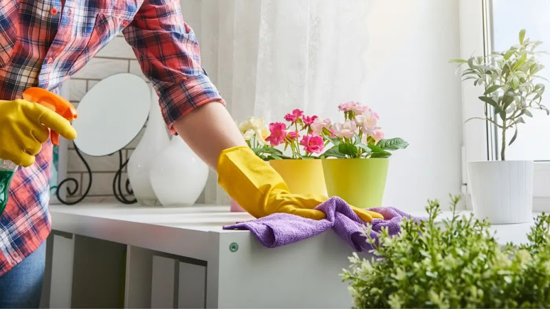 Summit Executive Cleaning - House cleaning service in Breckenridge
