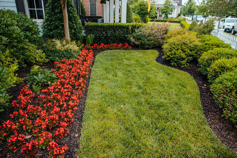 Gardens of Babylon Landscapes