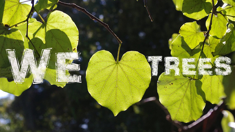 TreeAdvisor Outdoor Living, LLC