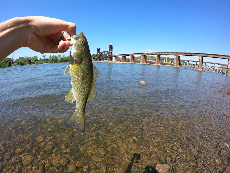Tennessee Riverpark: Fishing Park - Park in TN 37406